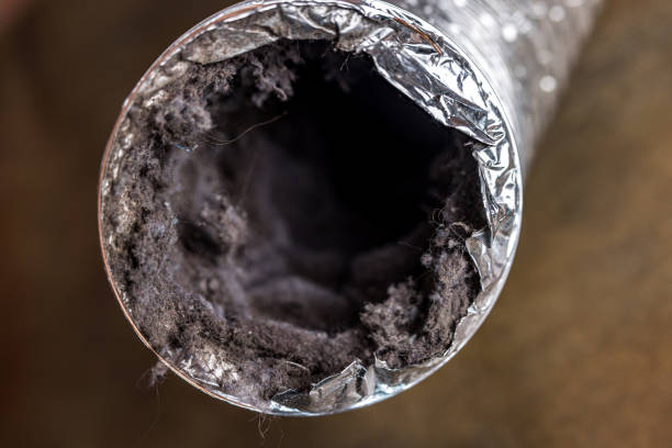 Best Air Duct Cleaning Near Me  in Grantley, PA